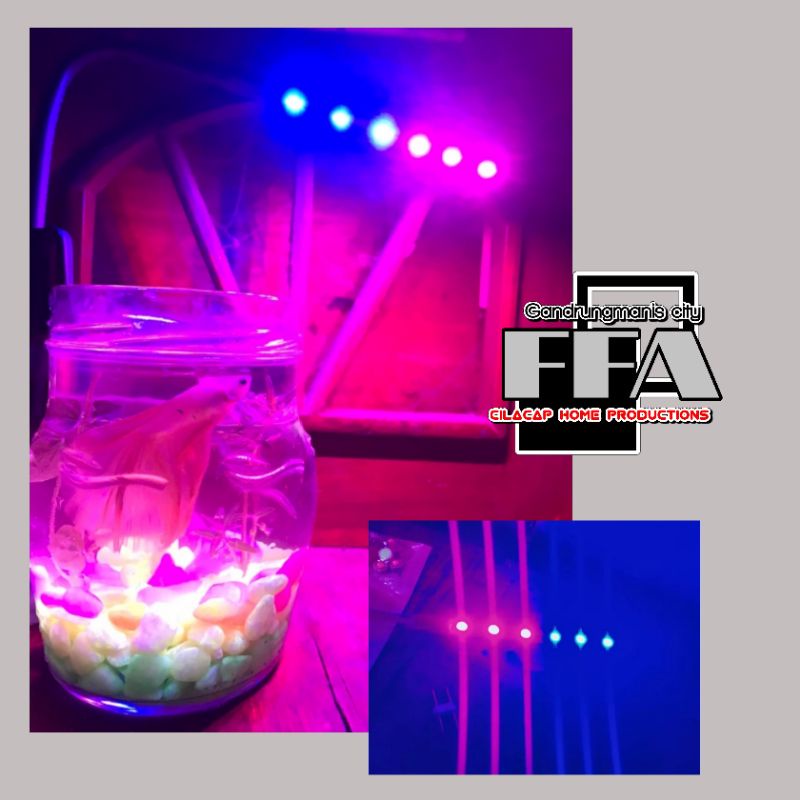 Lampu LED Cabe rawit aquarium mini Double warna biru pink 10 cm