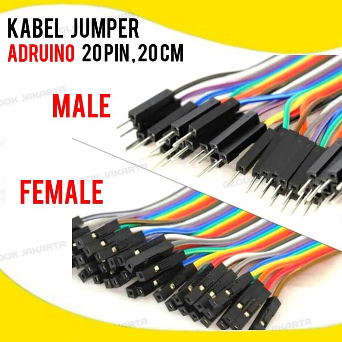 Kabel Jumper Male Female 20Pin 20cm Arduino