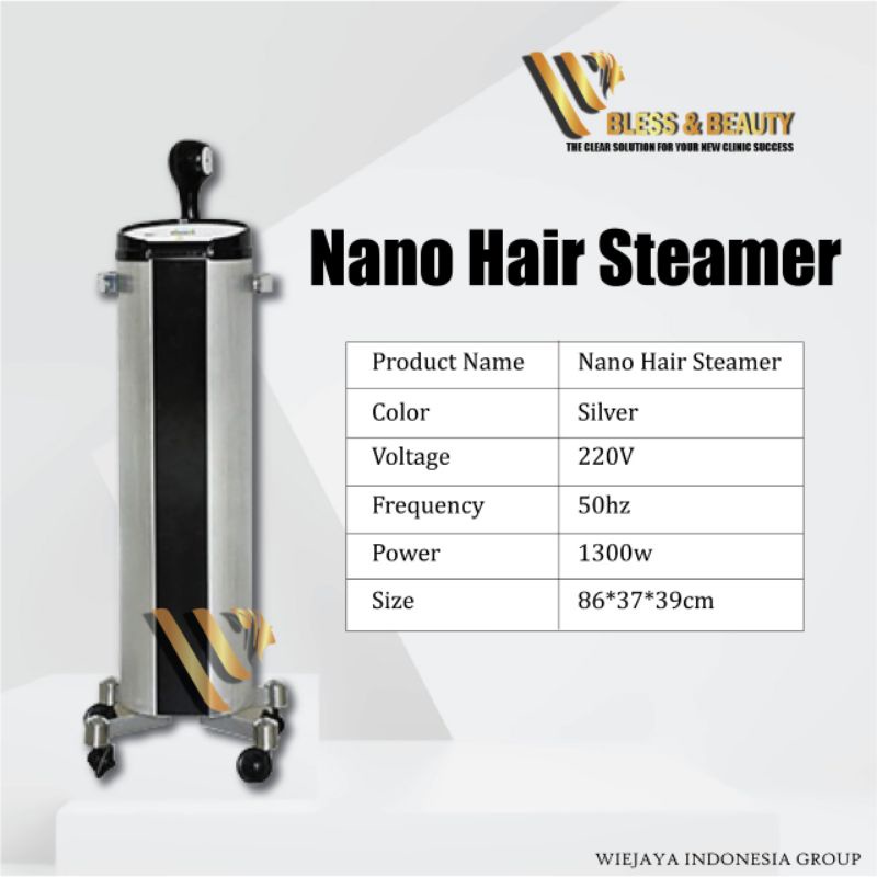 Hair Steamer Nano Mist Steamer Blue Ray Steamer Rambut