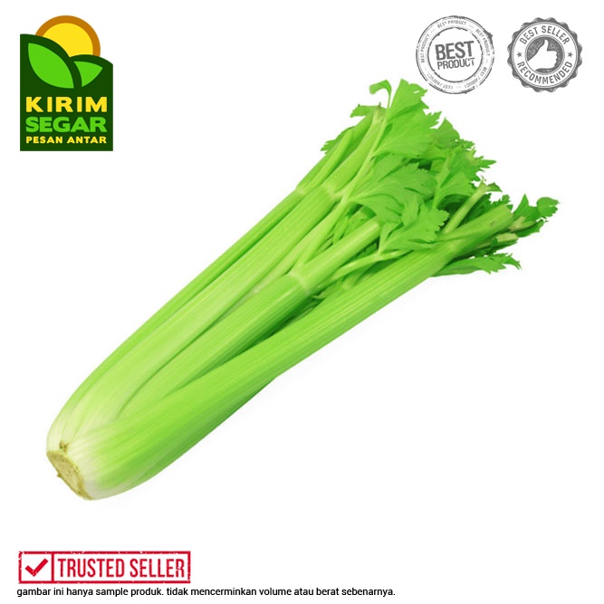

Celery Stick Import / Celery Stick Import Fresh / 0.4-0.5kg/Pack