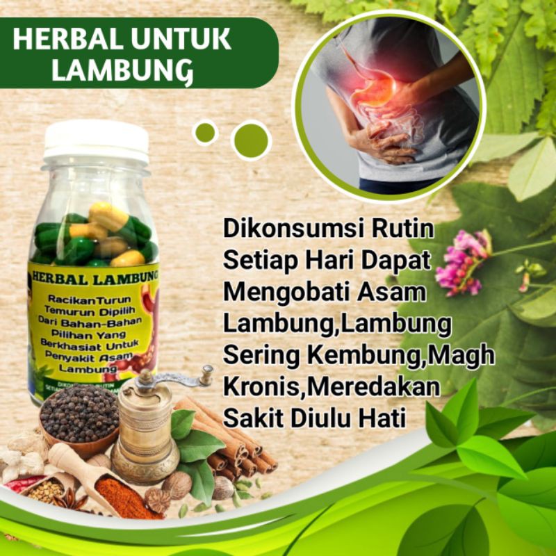 

OBAT HERBAL LAMBUNG