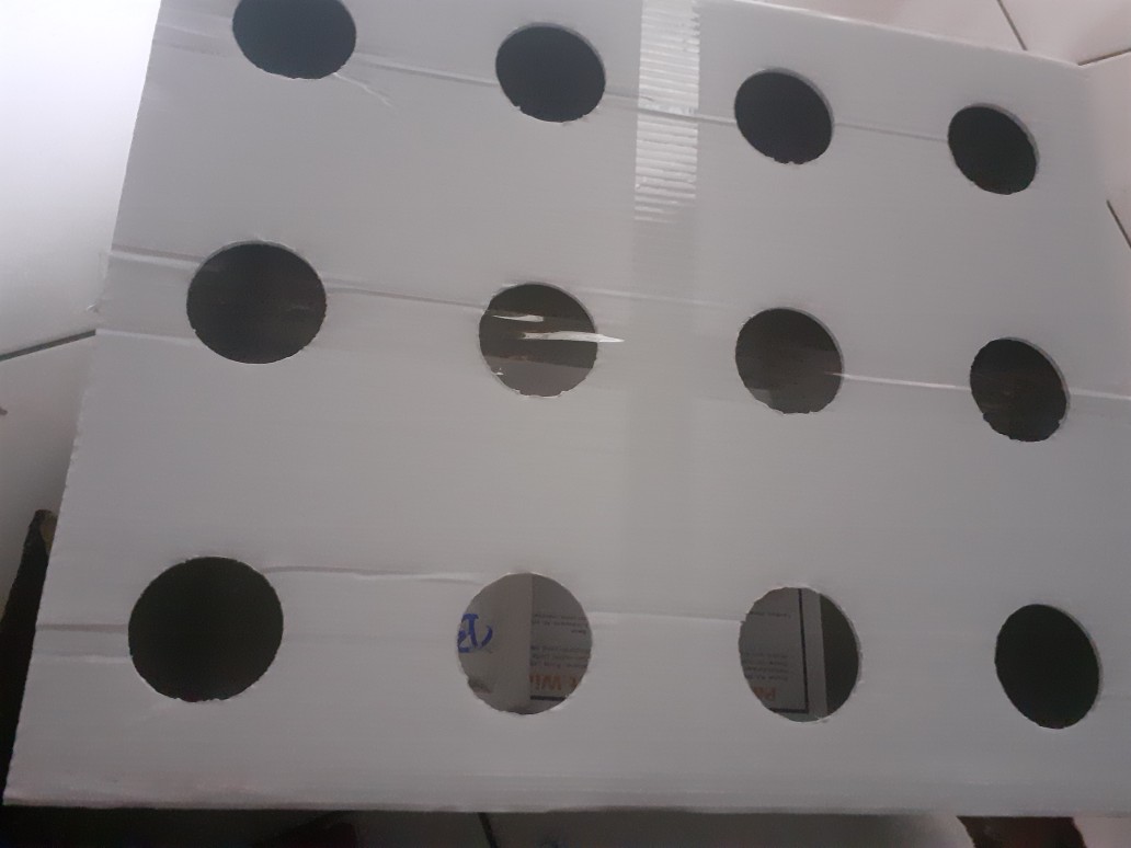 Bak & Impraboard 12 Lubang Hidroponik Wick System