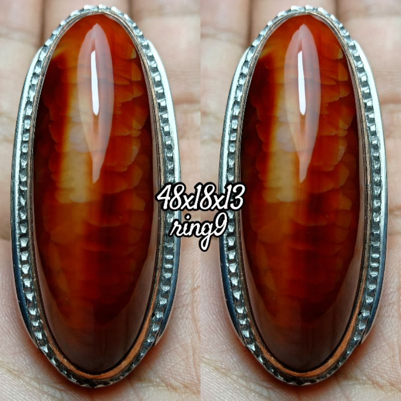 PANDAN MERAH SISIK BETOK