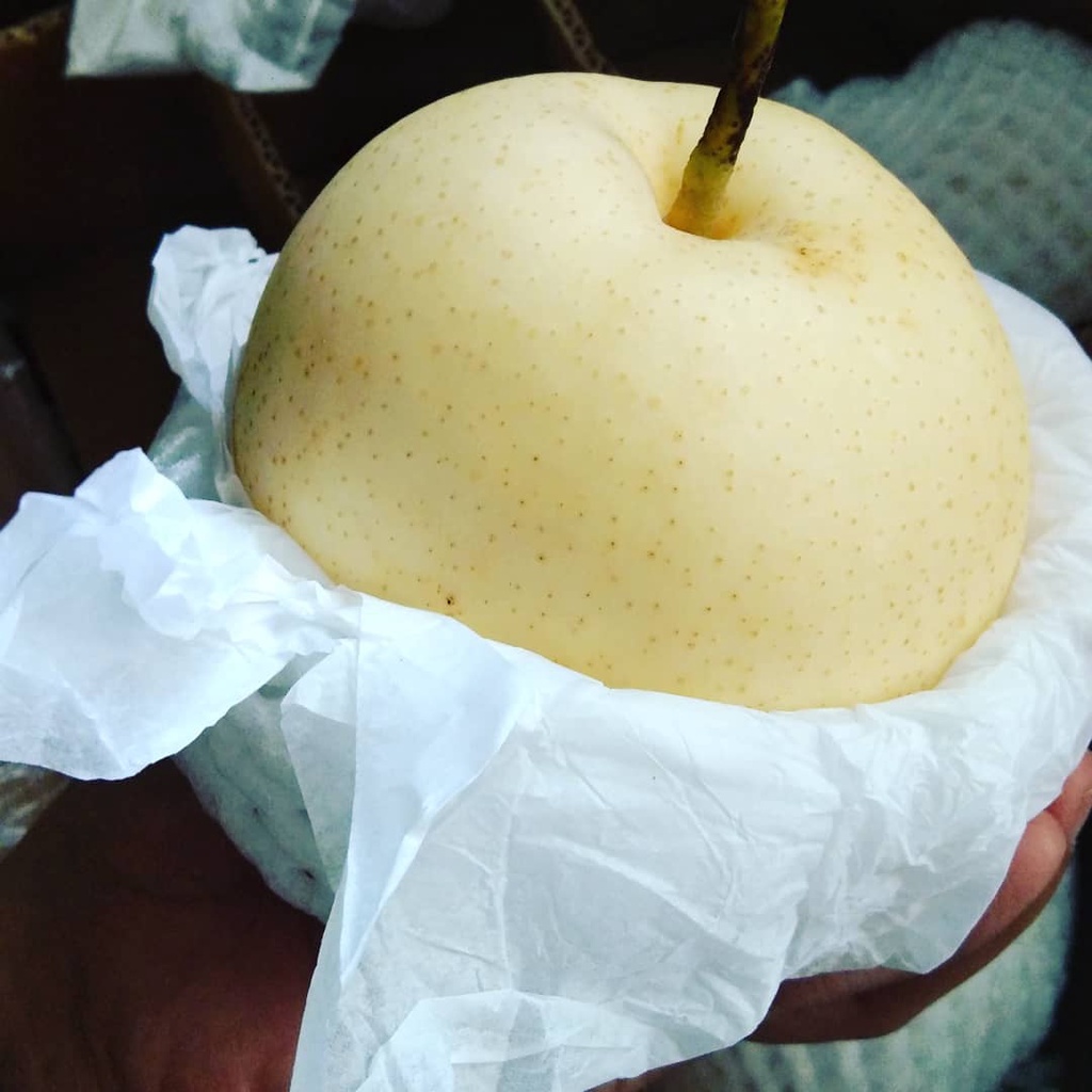

Pir Centuri 500 gram