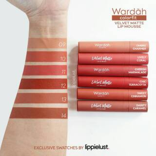 READY NEW SHADE (9-14) WARDAH colourfit velvet matte