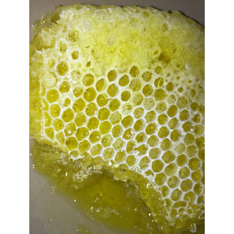 

madu sarang asli 250g termurah