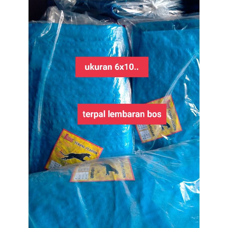 

terpallembaran ukuran6x10