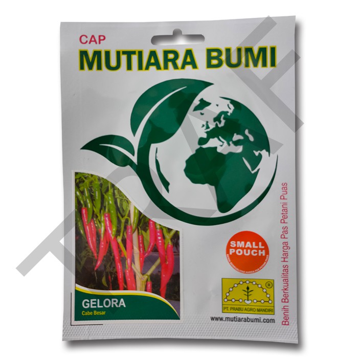 BENIH CABE BESAR GELORA ISI 300 BUTIR CAP MUTIARA BUMI