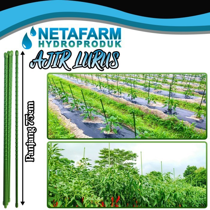 Ajir Tanaman - Plant Stake - 8mm x 75cm - 1 Set 10 pcs