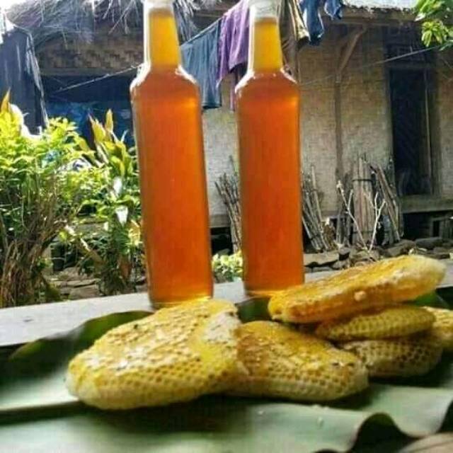 

Madu hutan baduy