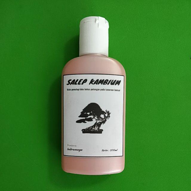 Salep Kambium Bonsai Kemasan 100ml