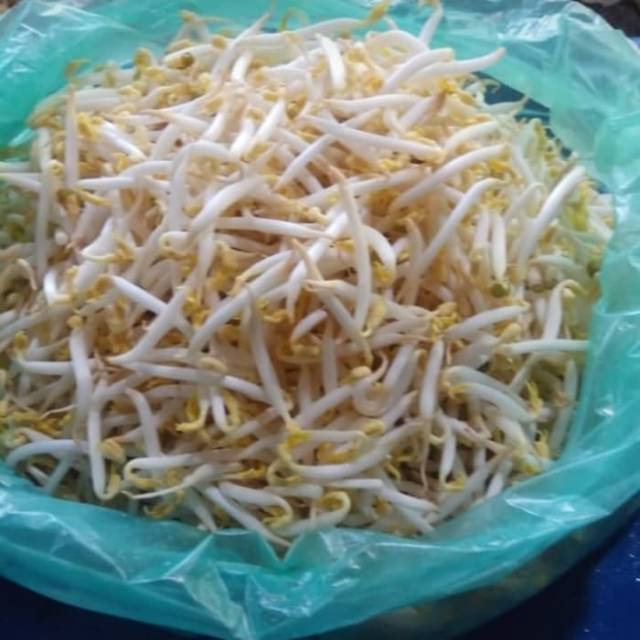 

Sayur Tauge 250 gr