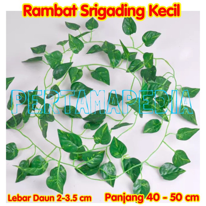 Daun Rambat Plastik Daun Rambat Artificial Daun Rambat Hiasan Aquaria