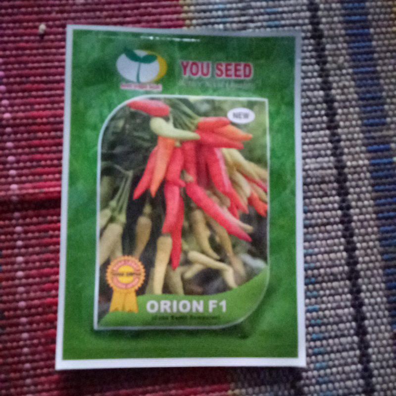 benih cabe rawit orion f1
