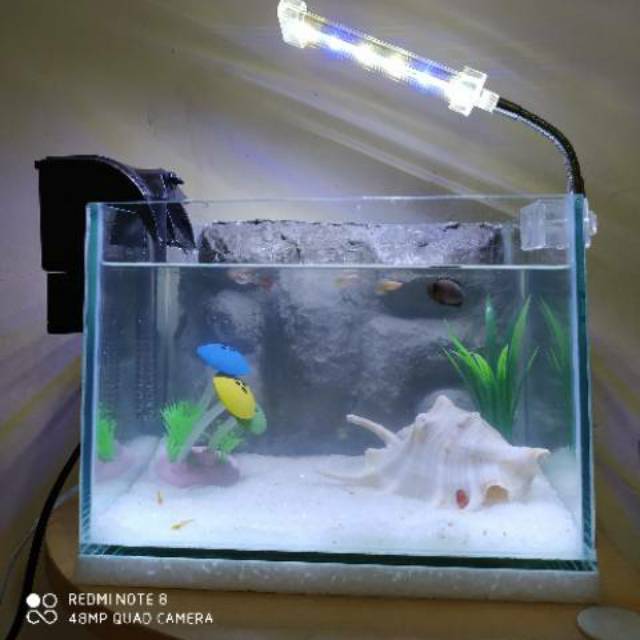 Aquarium mini 3D fullset