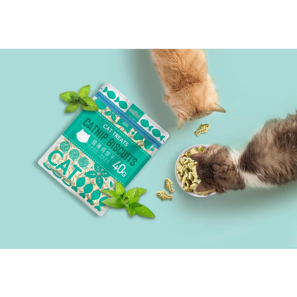 PH.Medan Snack Kucing Catnip Biscuits