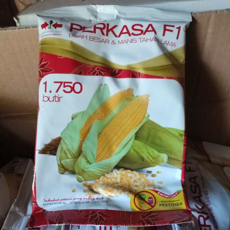 Benih Jagung manis perkasa f1 panah merah