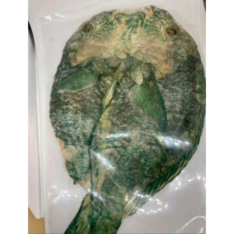 

Ikan Kakap Tua 1/2 kg