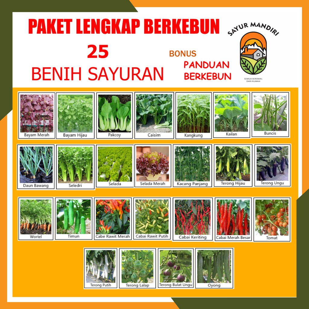 Paket Berkebun Lengkap  25 Benih Sayuran