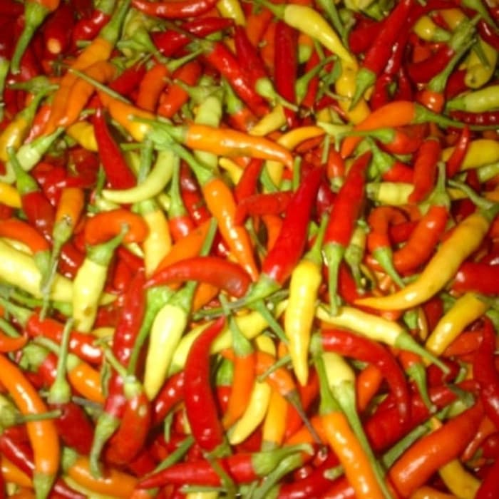 

Terbatas - Cabe Rawit 1 Kg