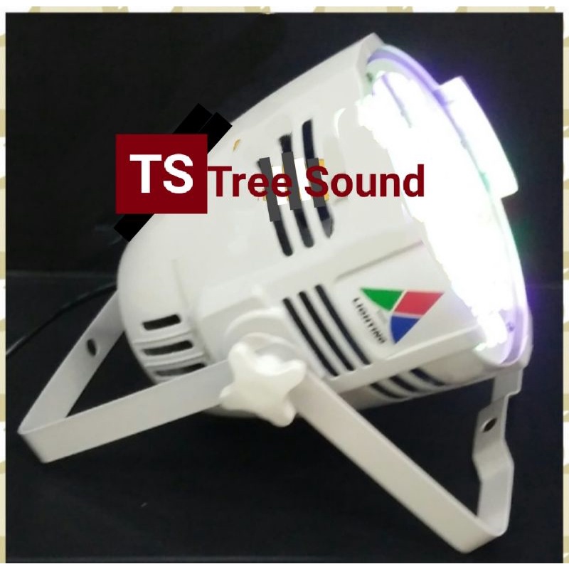 Par 54 LED RGBW (body white)