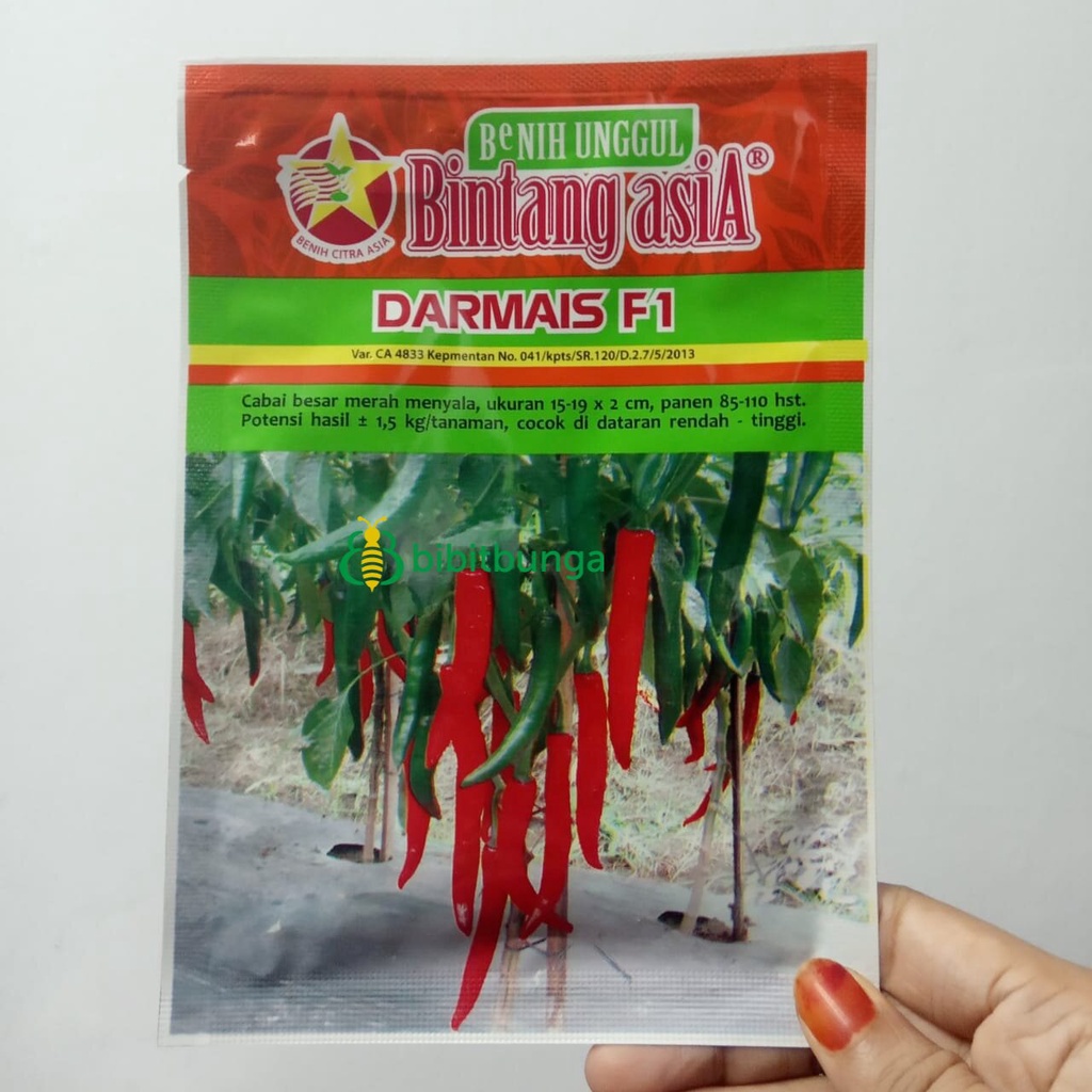 Benih Bibit Cabe Besar Darmais F1 Bintang Asia 10gr Biji Tanaman Cabai