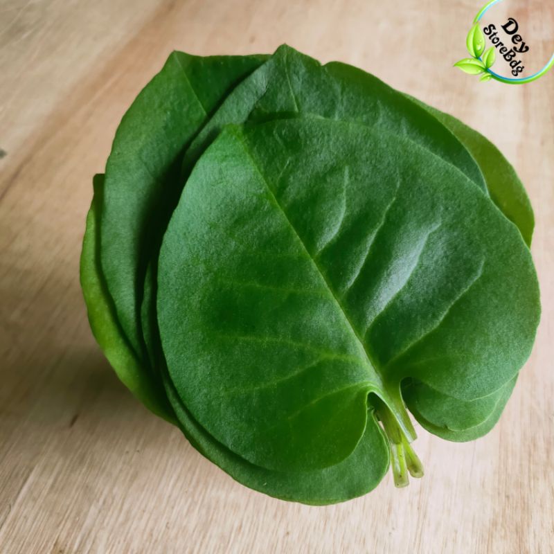 

paket 500 Gram Daun Binahong Segar