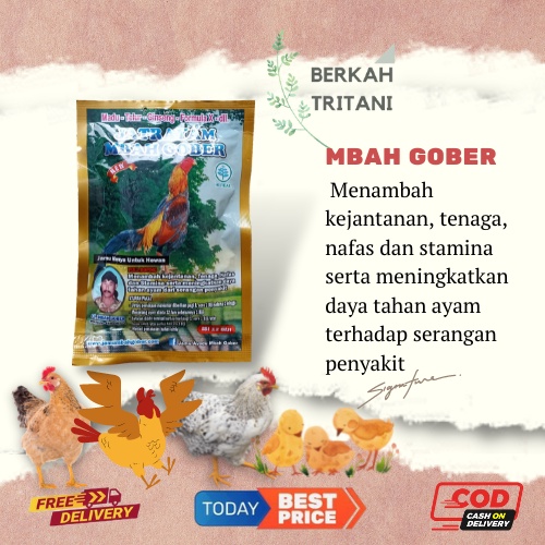 MBAH GOBER Jamu Stamina Doping Ayam Jago