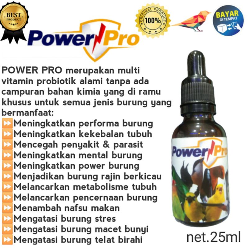 Multivitamin murai batu Perawatan burung Suplemen burung murai Penggacor burung murai Doping murai b