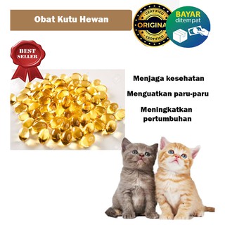 SALEP CREAM OBAT JAMUR SCABIES KUCING ANJING KETOCONAZOLE / OBAT 