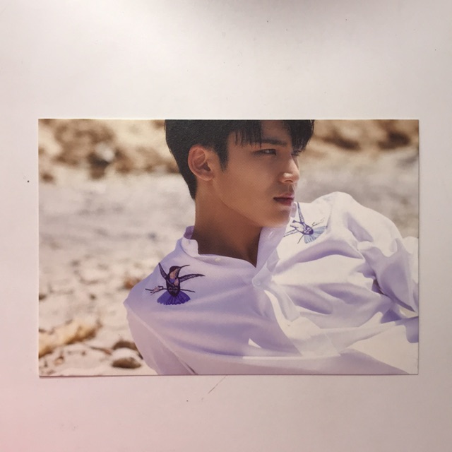 SEVENTEEN Mingyu Al1 Photocard/Postcard