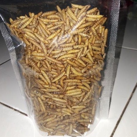 

maggot kering dried maggot kualitas istimewa 250gr, 500gr