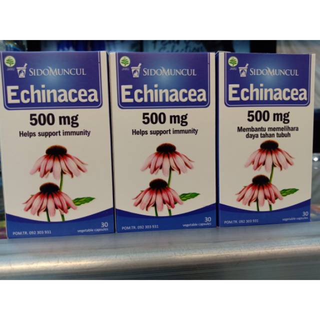 SIDOMUNCUL Echinacea 500mg