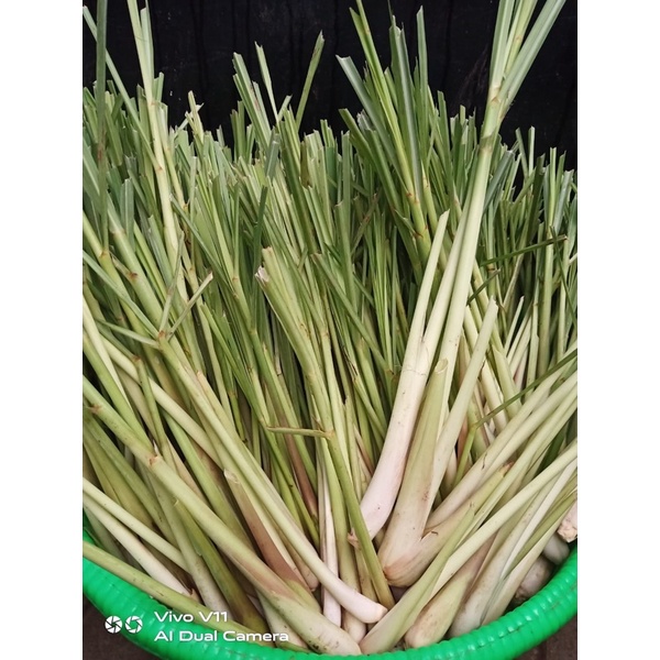 

Sereh fresh 1kg
