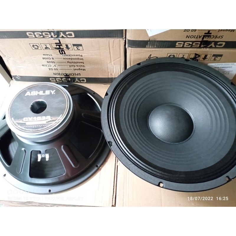 speaker ashley cy 1535 / speaker ashley 15 inch