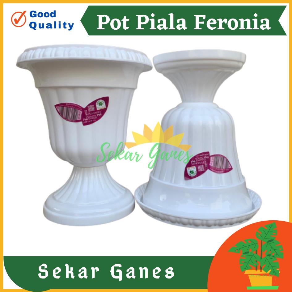 Pot Piala Green Leaf Feronia 6152 Putih Pot Piala Tinggi Putih Plastik hitam pendek 50 - Pot bunga tanaman piala feronia putih 18cm - PIALA MINI 6152