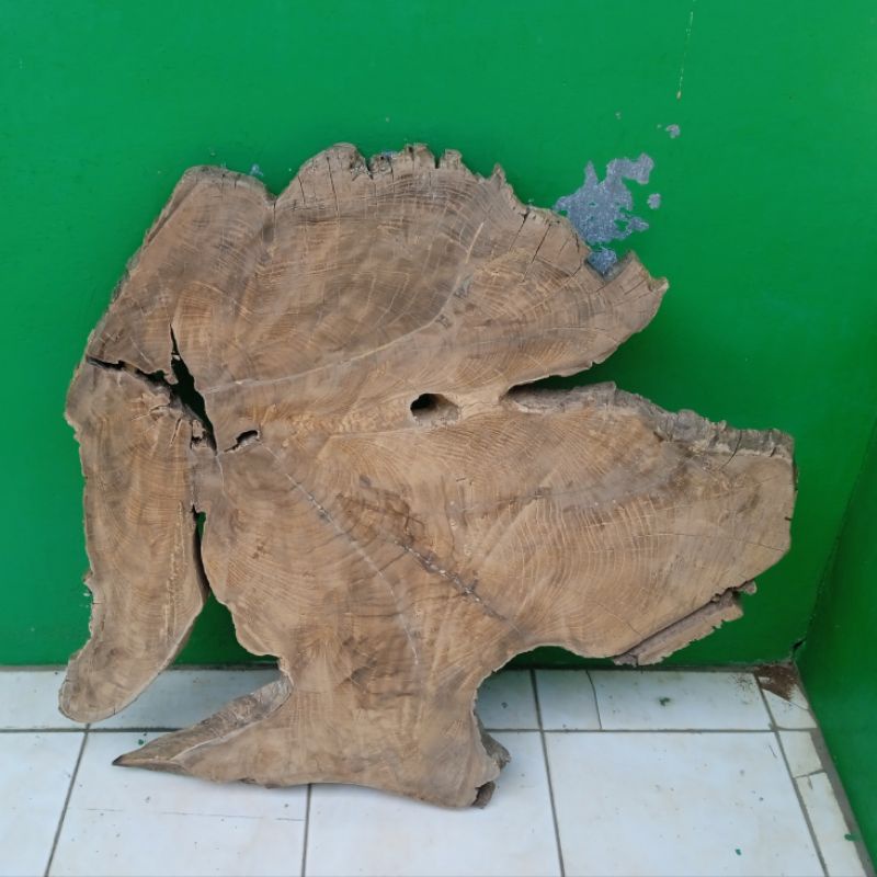 KAYU AKAR JATI 100 CM UNTUK MEJA KURSI ESTETIS ARTISTIK