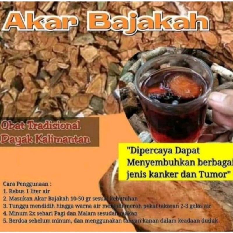 

AKAR BAJAKAH