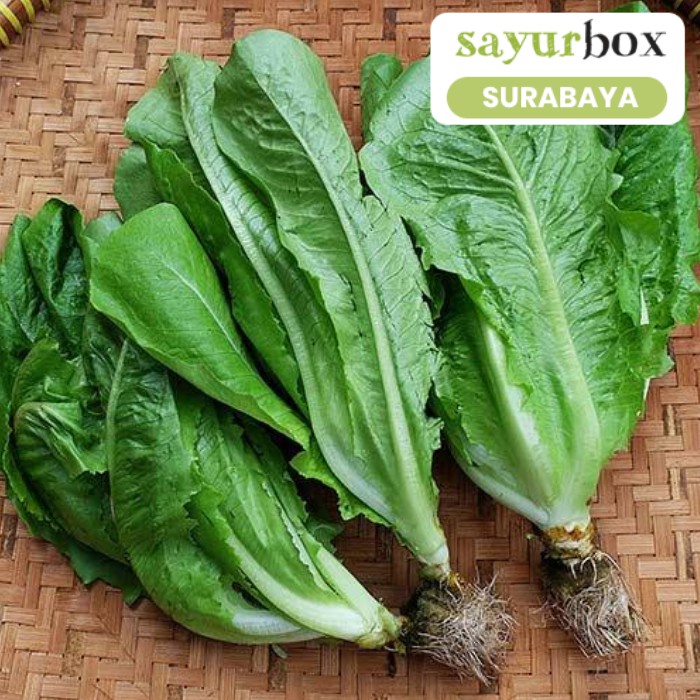 

Selada Romaine Hijau Conventional 250 gram (Sayurbox) - SURABAYA