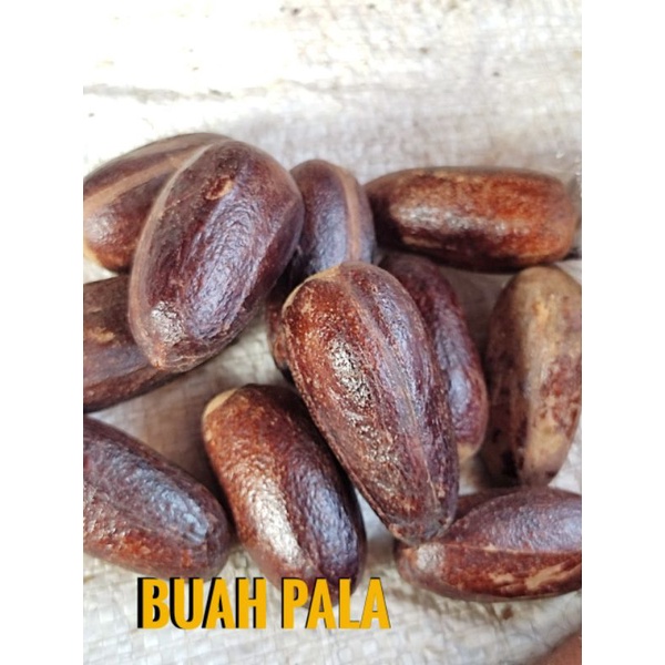 

Buah Pala