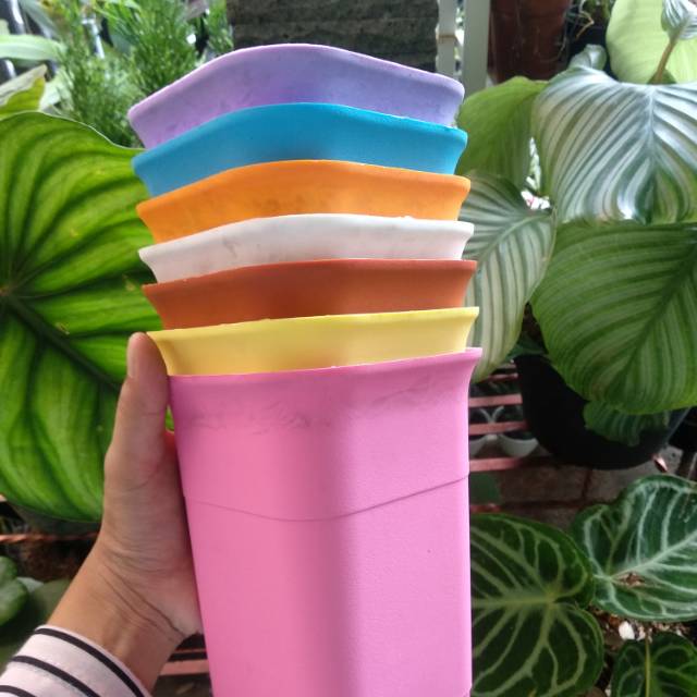 Pot Kotak NKT 12 cm / Pot Tanaman / Pot Rainbow / Pot Cantik