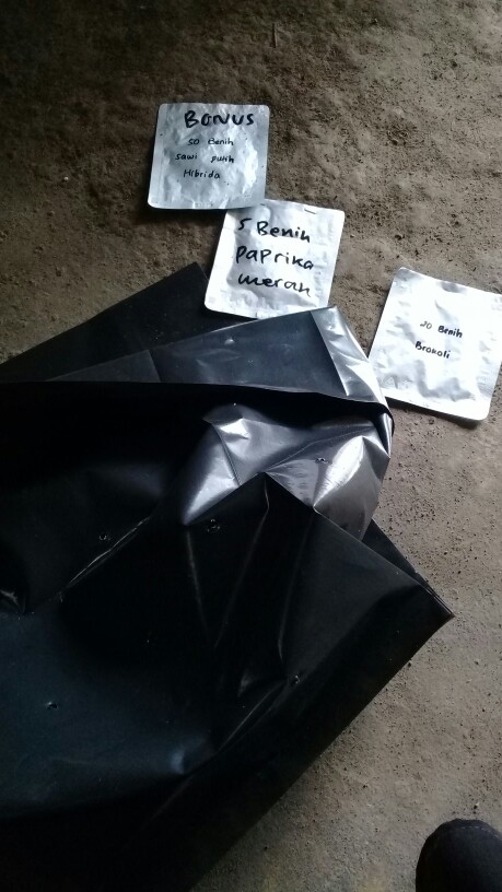 5 Biji Benih Paprika Merah