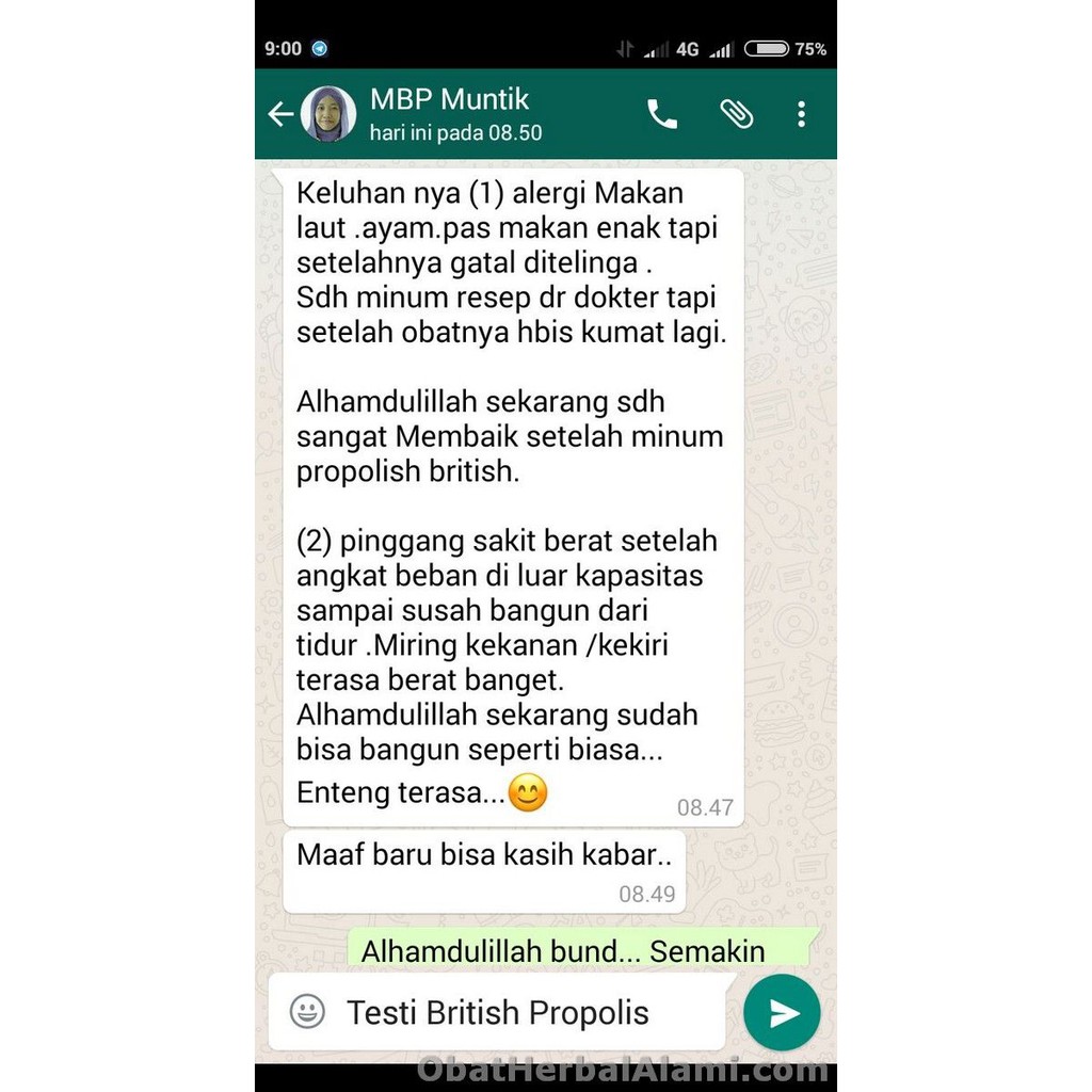 BRITISH PROPOLIS ORIGINAL 100% ASLI