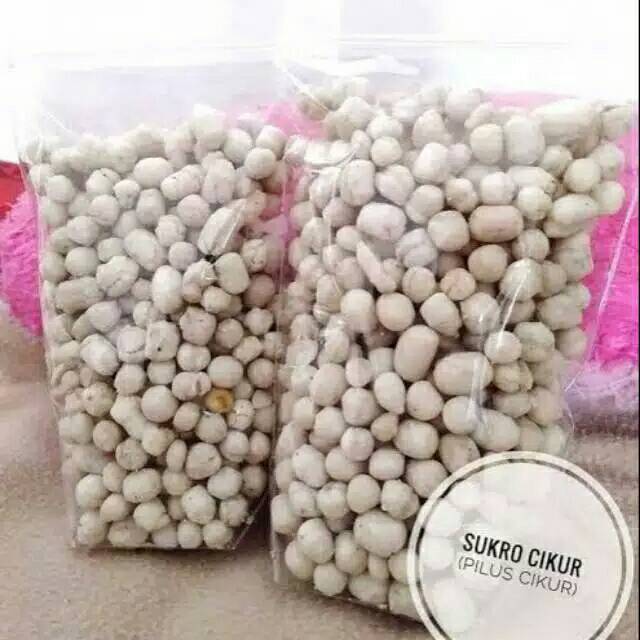 

Pilus kencur / pilus cikur baso aci
