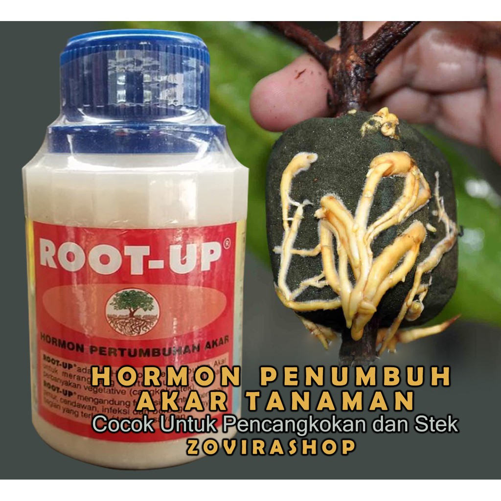 Jual OBAT PENUMBUH AKAR ANDALAN PERKEBUNAN Shopee Indonesia