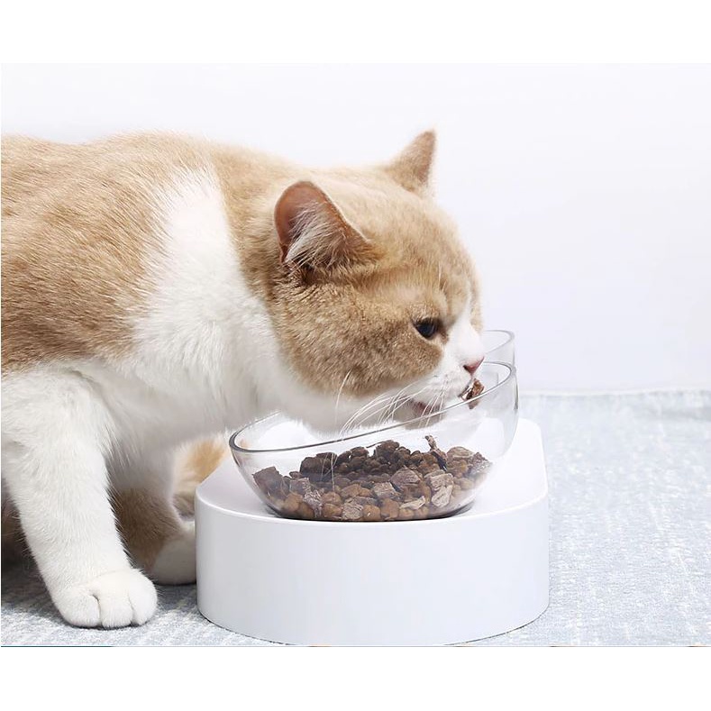 PETKIT Tempat Makan Hewan Peliharaan Kucing Anjing Feeding Dishes Double Bowl - White