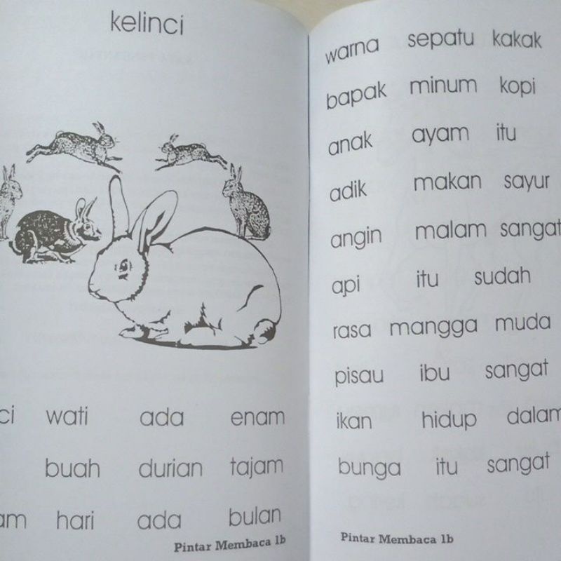 Buku Pintar Membaca Untuk TK &amp; SD 1a - 1b