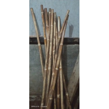 rotan batangan.pentungan rotan.tongkat rotan minimal order 2