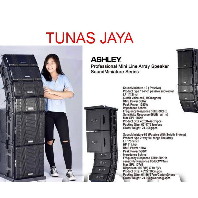 Speaker Line Array Ashley Mini Soundminiature Series