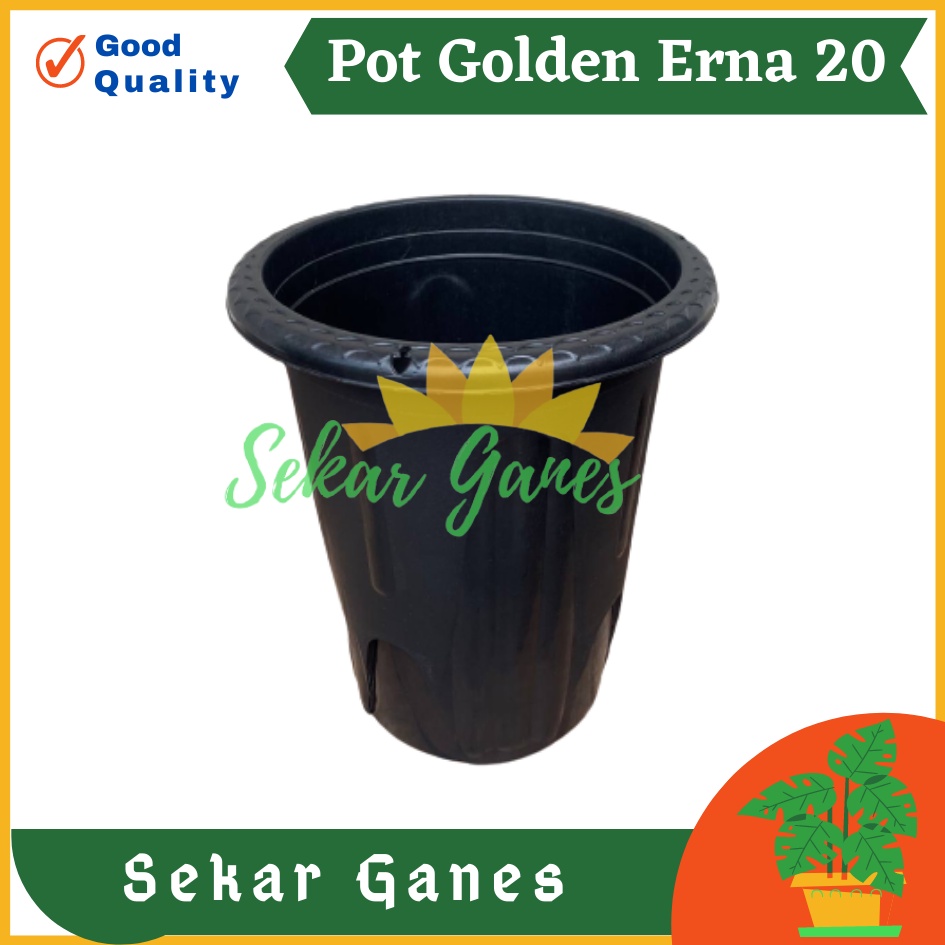 Sekarganes Pot Golden Erna 20 Hitam murah Tanaman